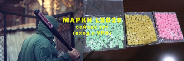 индика Краснотурьинск