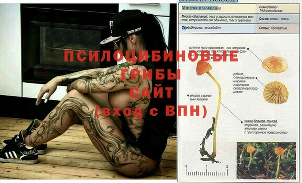 кокаин премиум Армянск
