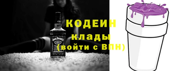 индика Краснотурьинск