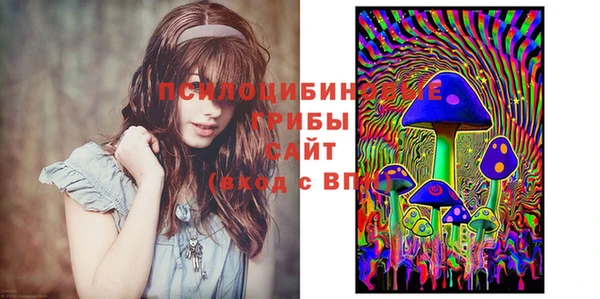 СК Арсеньев