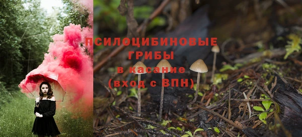 СК Арсеньев