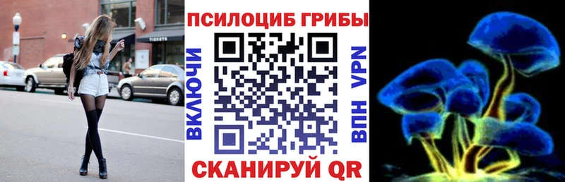 Псилоцибиновые грибы ЛСД  где купить наркоту  Болотное 