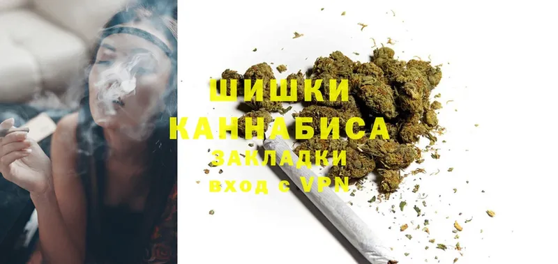 Каннабис Bruce Banner  купить   Болотное 